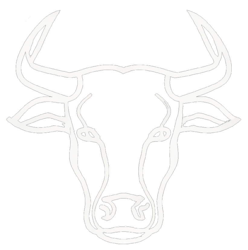 SA Livestock logo white
